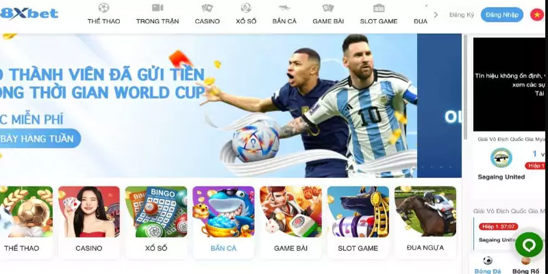 Các loại cược phổ biến tại nhà cái 8xbet