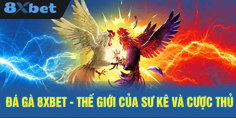 8xbet is cung cấp sảnh bắn cá và đá gà đẳng cấp